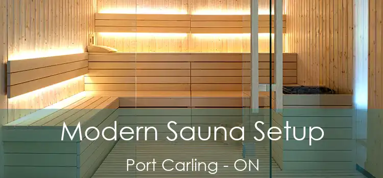  Modern Sauna Setup Port Carling - ON